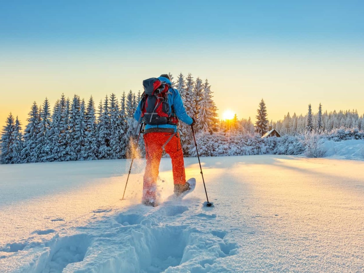 Les petites sorties de la classe Montagne 6°&nbsp;3